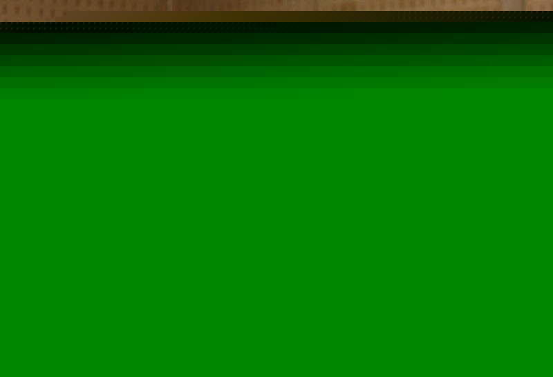 nolim08_10129.jpg